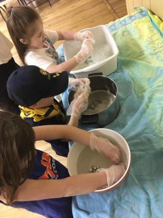 50636765_2238706899705027_9149118305779318784_n