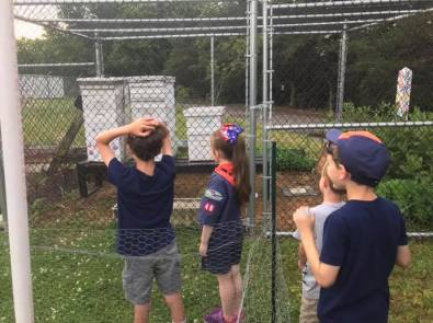 gibbsborogardens201901